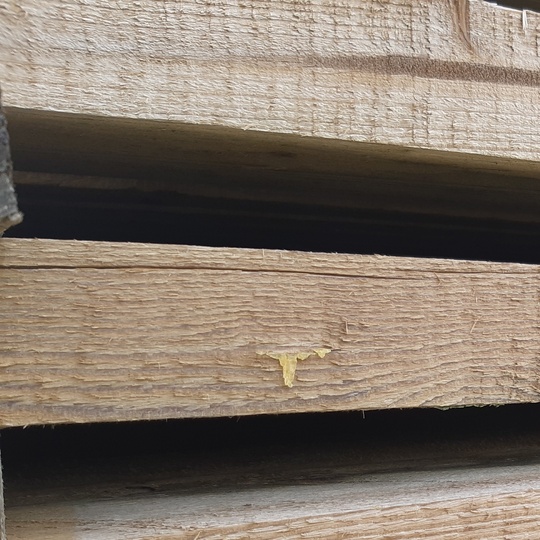 Řezivo neimpregnované