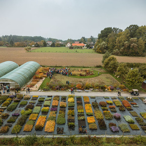 Dny otevřených vrat v Herba Grata