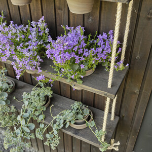 Ručně vyrobena závěsná police z terasových prken ošetřených Královskou impregnací s kruhovými výřezy v rustikálním stylu osazena květinami.
