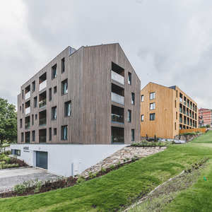 Dřevo v exteriéru ošetřené Královskou impregnací a Profi impregnací, zakázková výroba pro hotelový komplex JBX Resort Avenue Lipno.