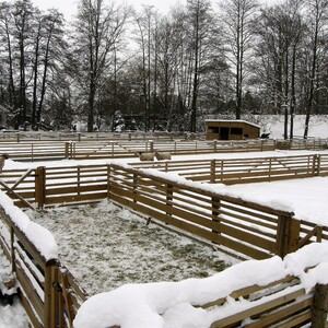 Vakuově-tlaková impregnace (profi impregnace)
