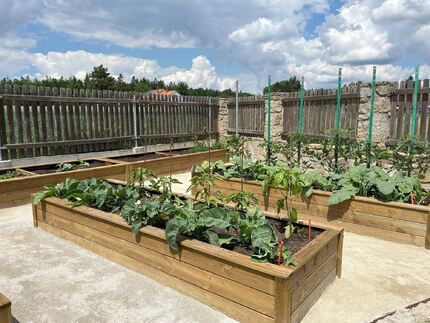 Nadzemní záhon Teraso, formát 43x200x100 cm Nadzemní záhon Teraso, formát 43x200x100 cm