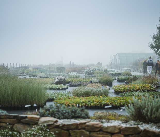 Dny otevřených vrat v Herba Grata