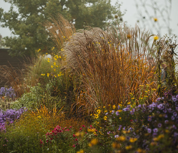 Dny otevřených vrat v Herba Grata