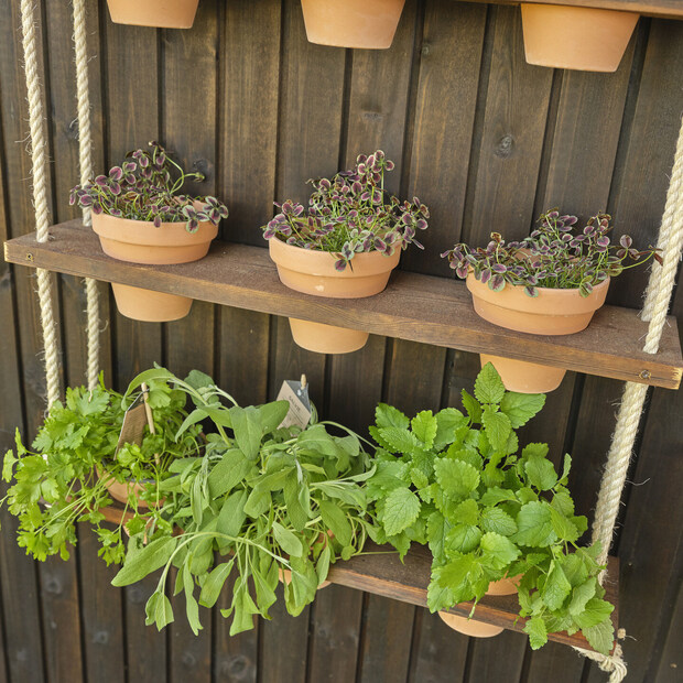 Květiny v ručně vyrobené závěsné polici z terasových prken Královská impregnace.