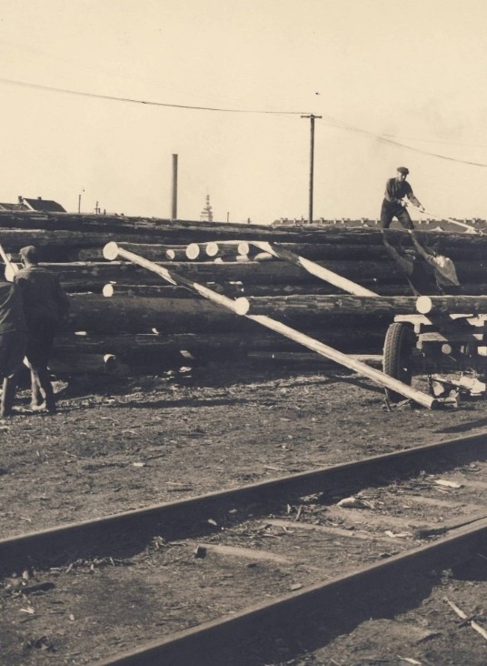 Jak to vše začalo?