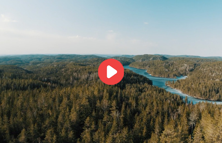 VIDEO: Od kulatiny po fasádu – cesta dřeva od přírody až k vašemu domu