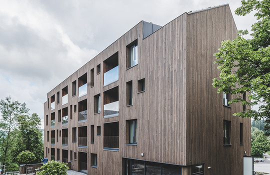 Královská impregnace: nejlepší řešení pro ošetření terasových a obkladových prken