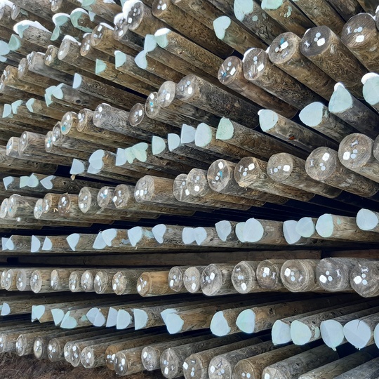 Dřevěné sloupy impregnované