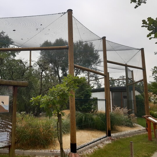 Dřevěné sloupy impregnované